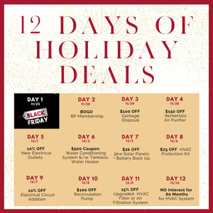12 Days of Christmas Deals Calendar 