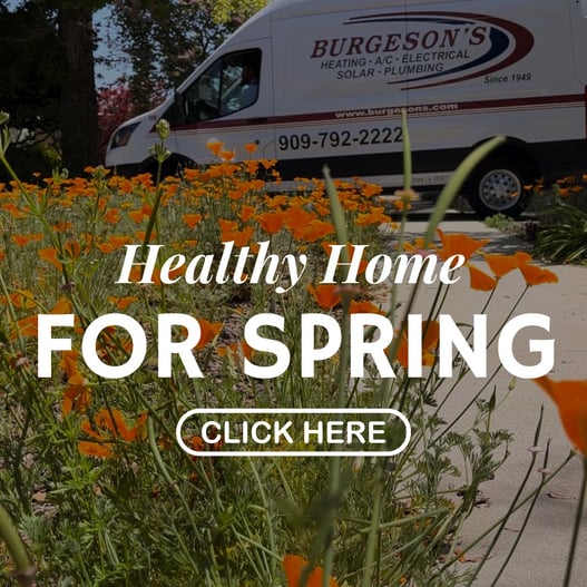 Healthy Home